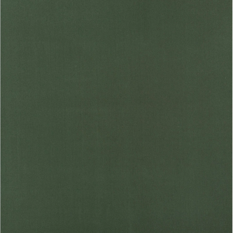 Тканина для вулиці Дралон LISO PLAIN мох 665601