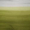 Тюль Омбре оливковый 280 см 041820